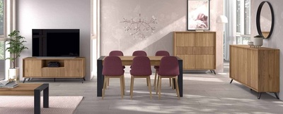 PRODUCTOS-SALON-COMEDOR MODERNO 2024