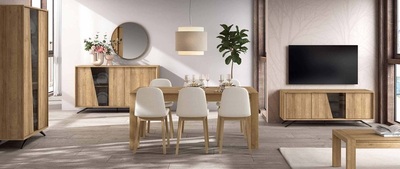 PRODUCTOS-SALON-COMEDOR MODERNO 2024